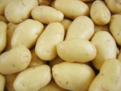 bulvės sėkmės nuotraukos
