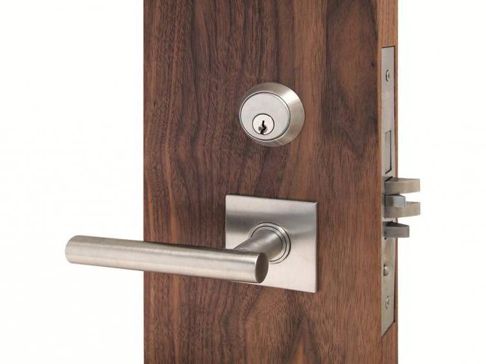 "Mortise lock" durys: aprašymas, funkcijos ir apžvalgos