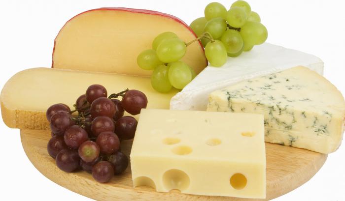 ką sūris supranta 