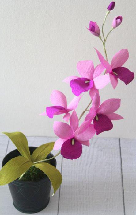 Gėlės su savo rankomis: orchidėja iš gofruoto popieriaus