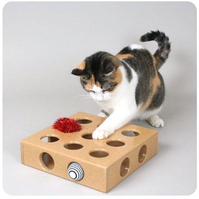 Geriausias jūsų naminiams gyvūnėliams dovanos yra katės žaislas