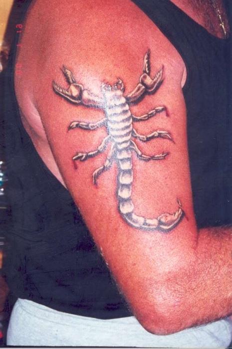 skorpiono tatuiruotė prasme